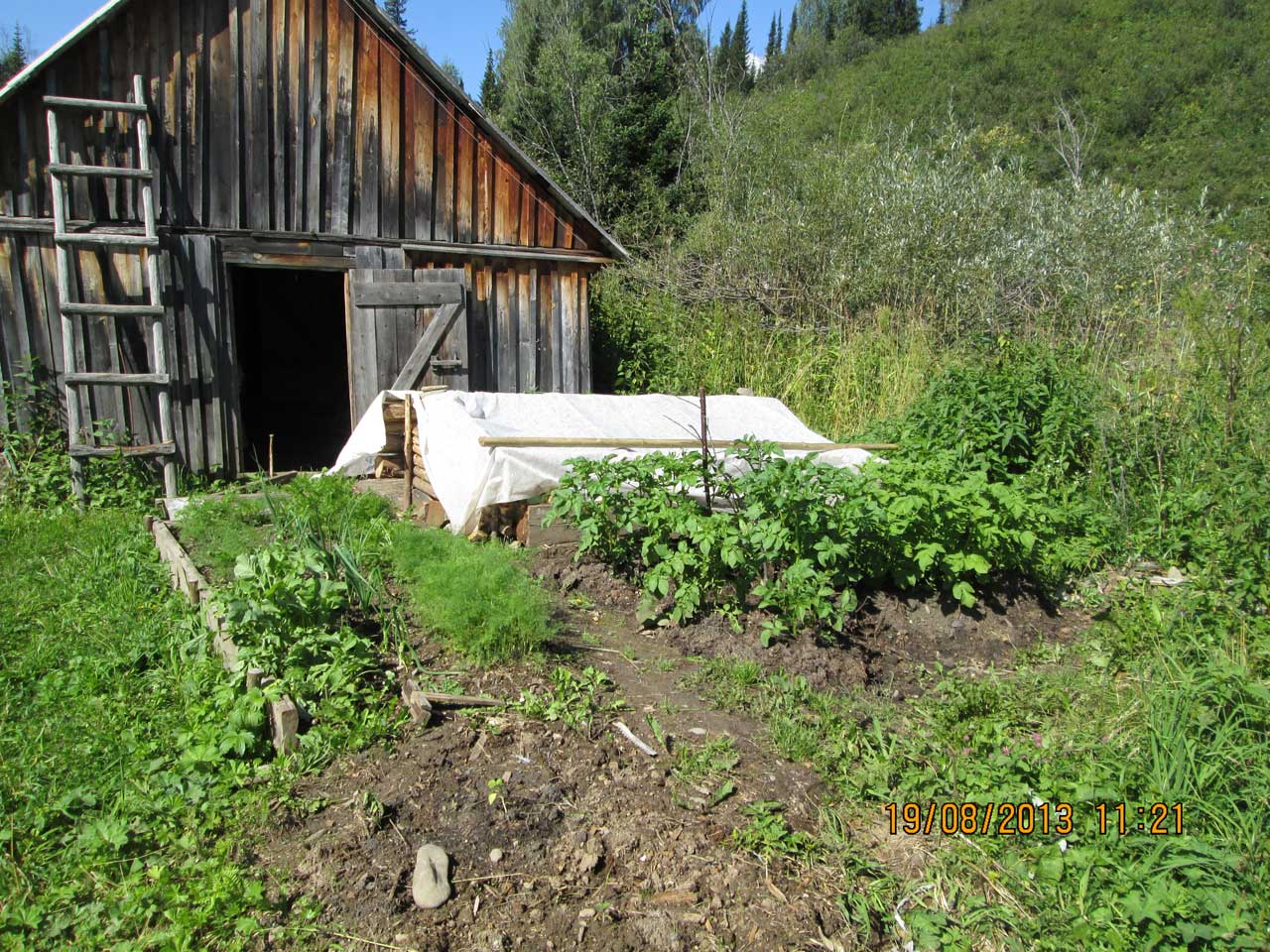 ������ �� ����� ������� ��������� ����� �����.