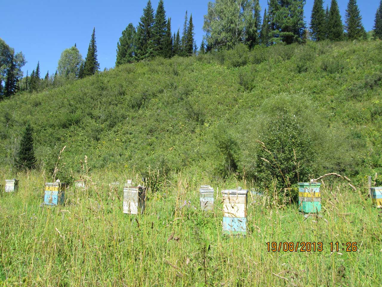 ������ ������ ������� - ������ �������� ���������.