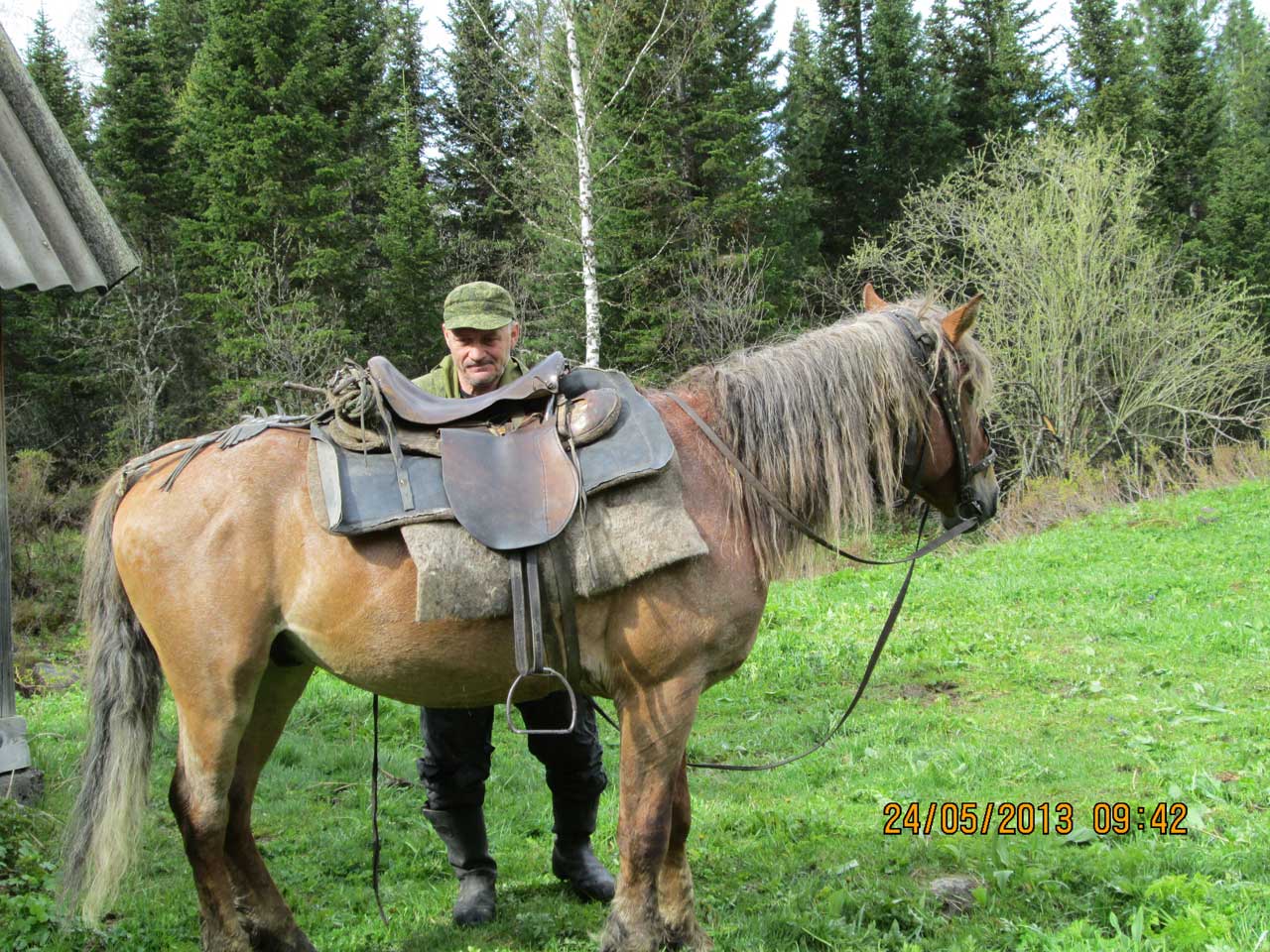 ������ ��������� �� �����-������ ������.