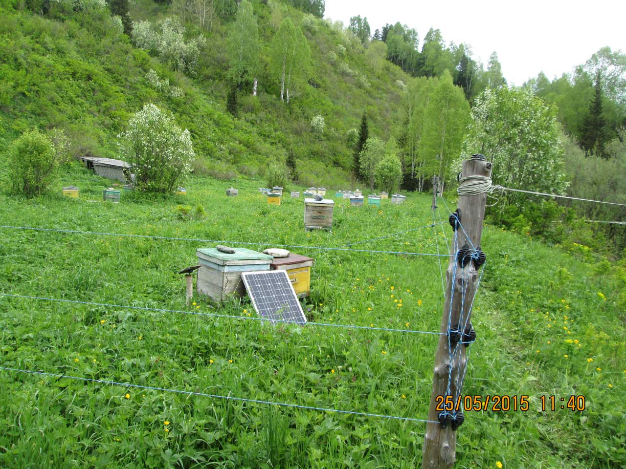 ������������� - ������ ������ �� ��������.