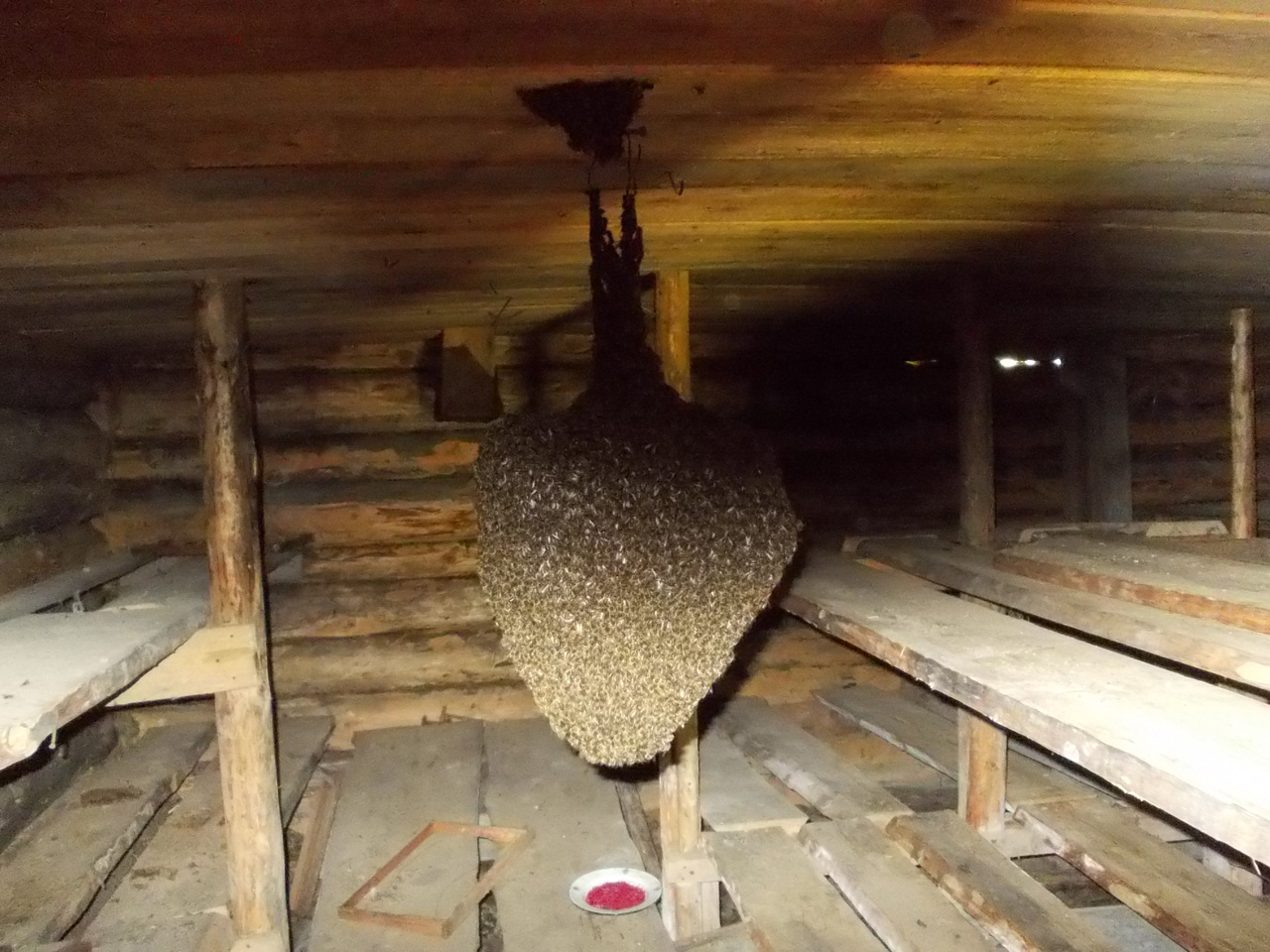 �� ������� �������������.