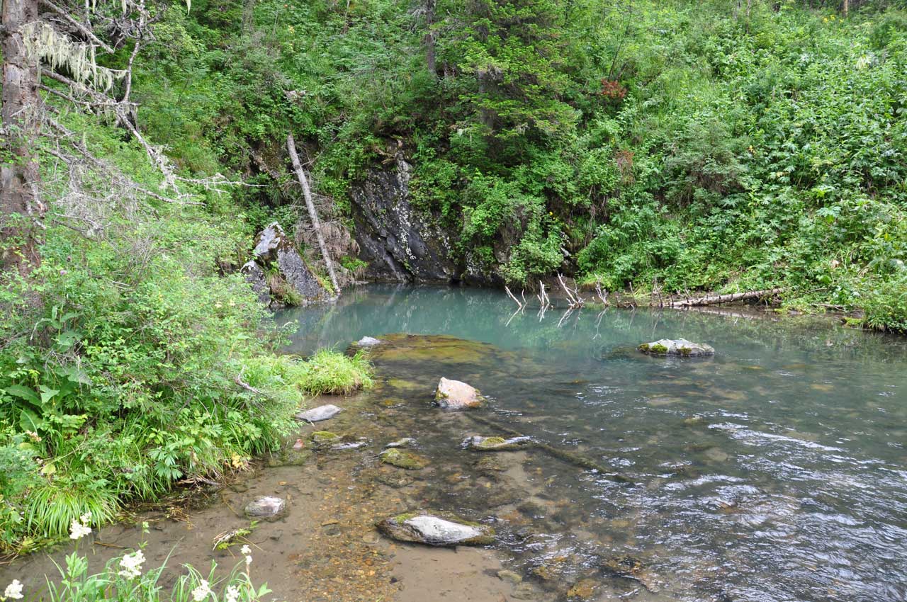 �.��������� �������� �� ��������� ������.