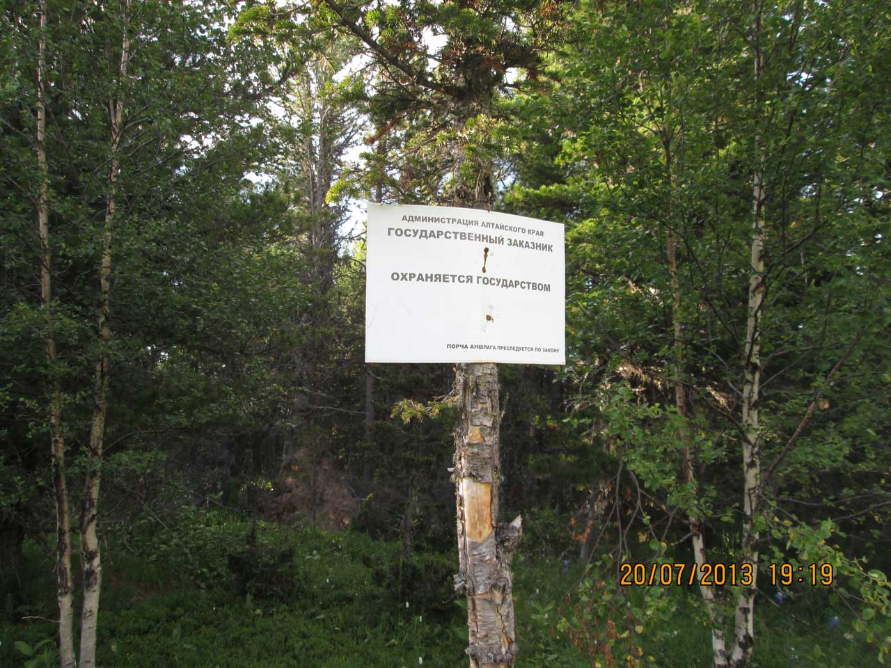 ����������� �� �������� ���������� ���������� ���������.