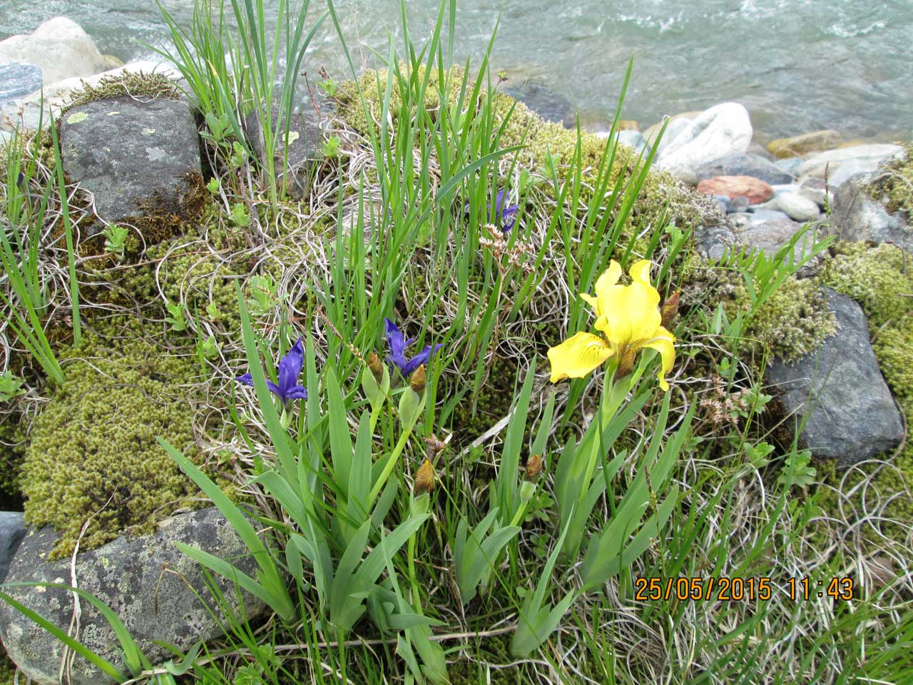 ������� ������� (��������� ������) � ������� �������.
