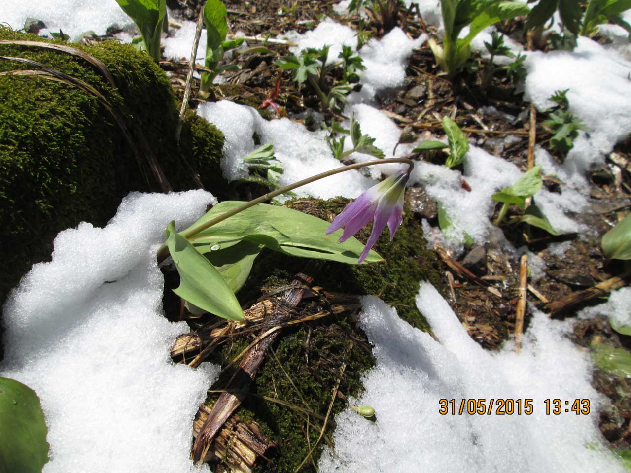 ������ ��������� - ���������.