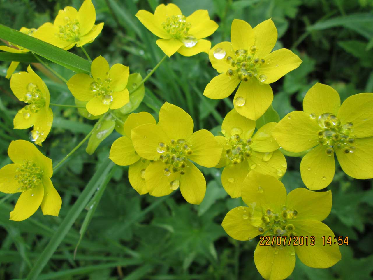 ��������� ����������.