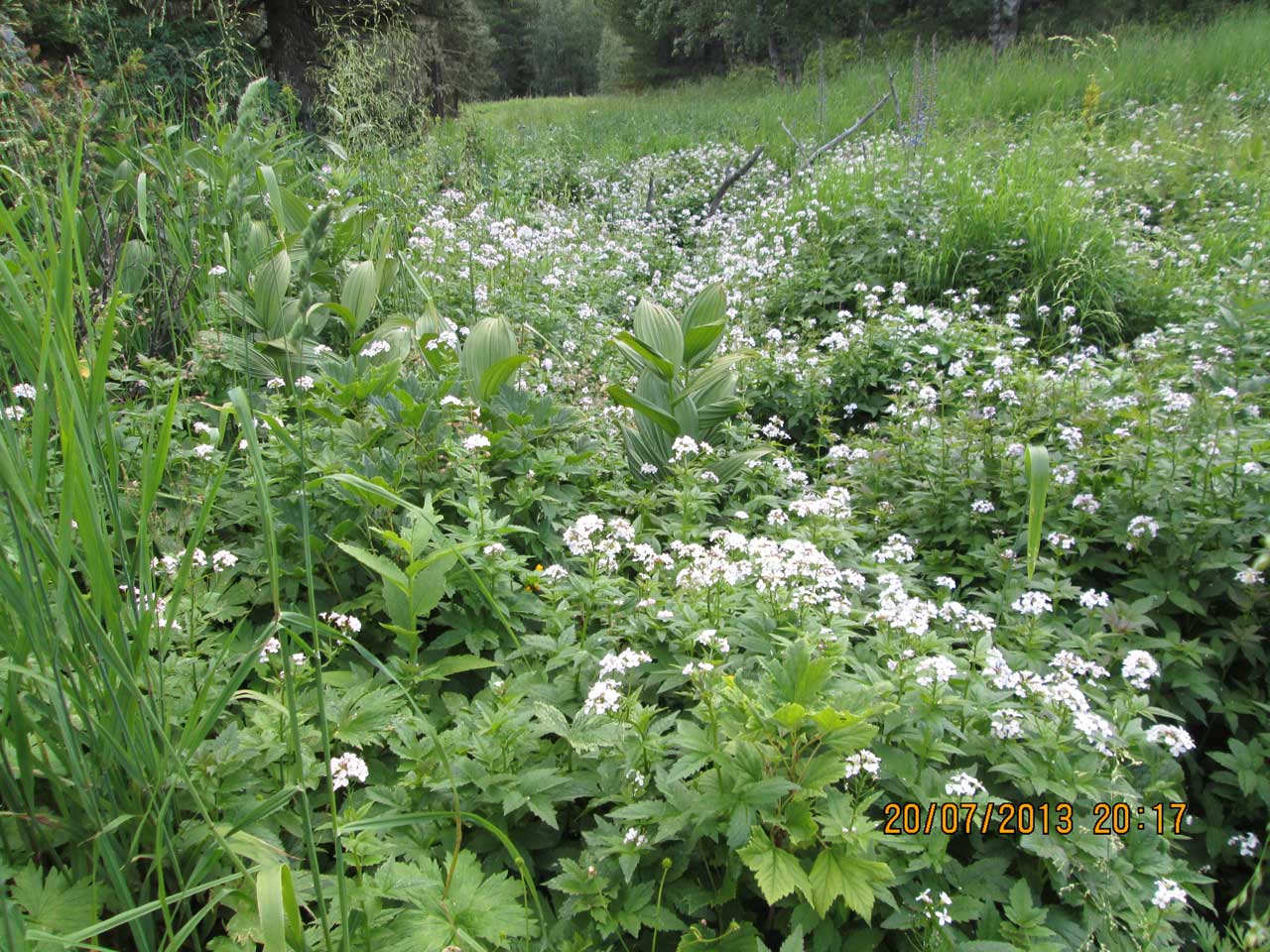 ��������� �������.