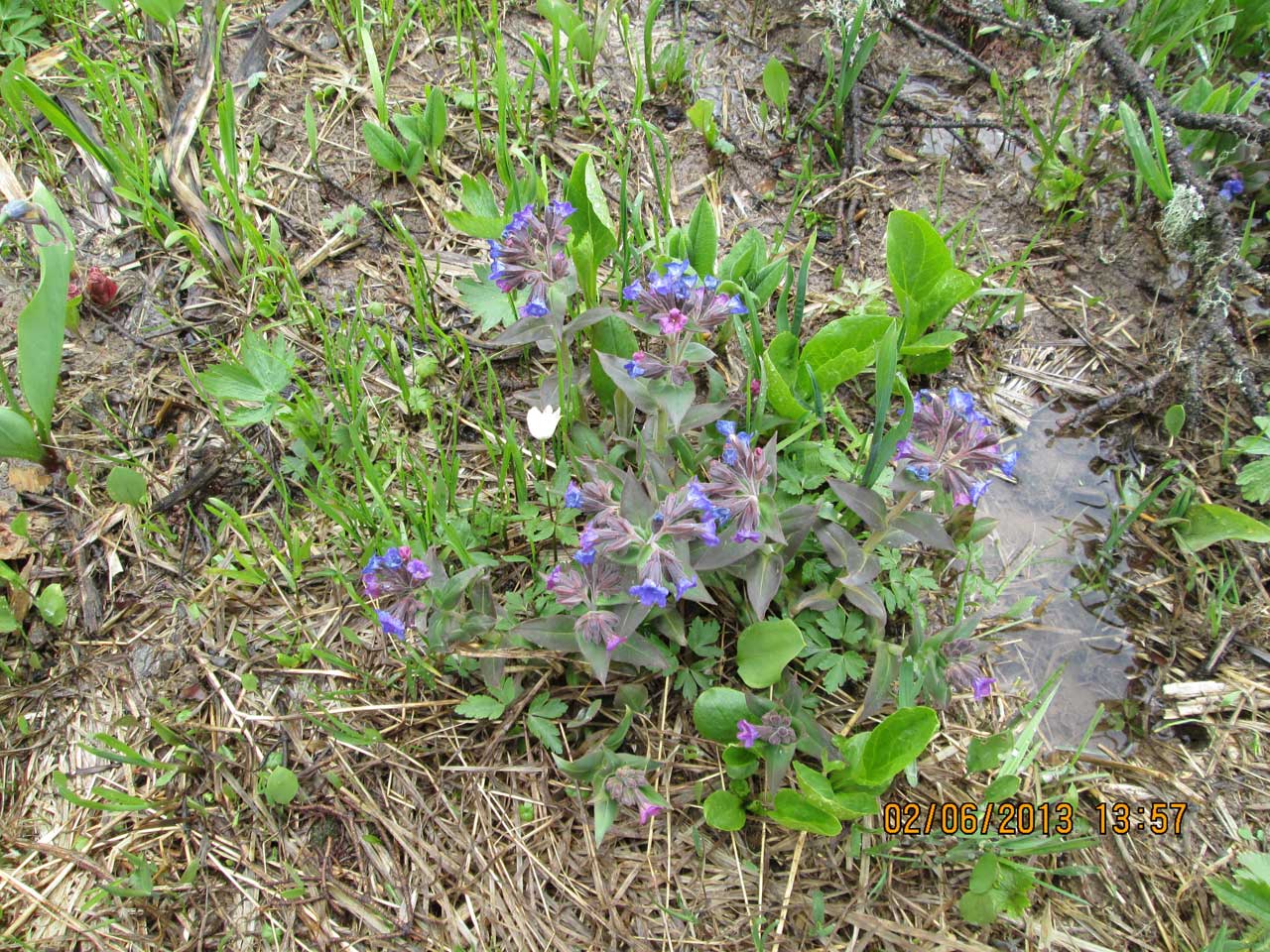 �������� ���������.